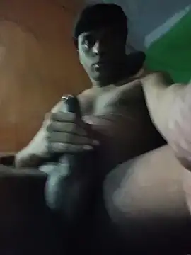 desiboy1101 online show from April 2026 02:22:02 PM