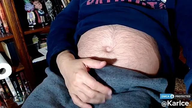 Snapshot of karlce chatting on February 2026 04:06:01 AM karlce online show from February 2026 04:06:01 AM