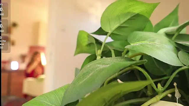 Kishaxxx online show from March 2025 02:08:02 PM