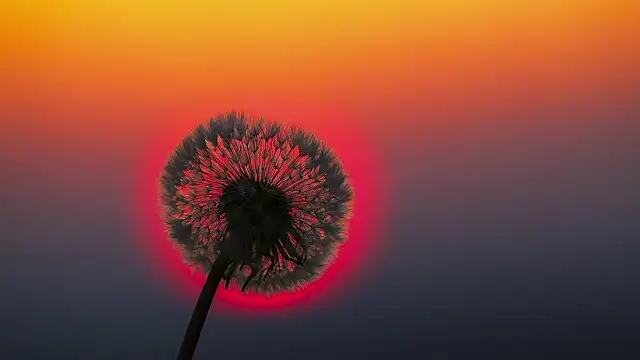 Snapshot of Sunning2 chatting on September 2025 09:22:02 AM Sunning2 online show from September 2025 09:22:02 AM