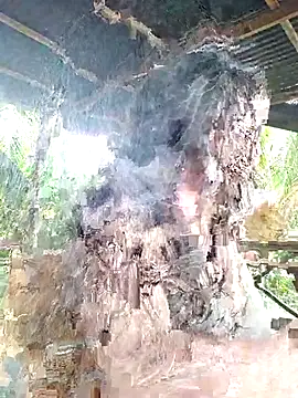 Snapshot of loveuu-bae chatting on October 2025 09:35:02 PM loveuu-bae online show from October 2025 09:35:02 PM