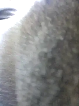 UncutHammer69 online show from October 2025 11:53:01 PM