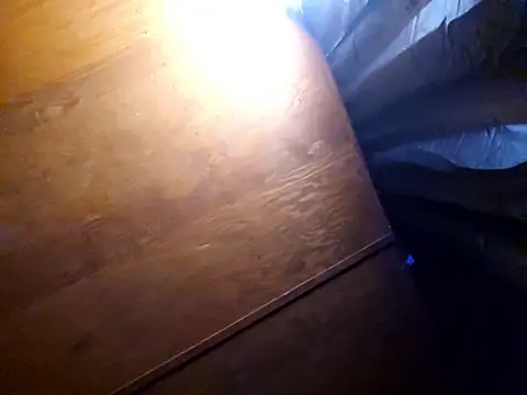 UncutHammer69 online show from February 2026 03:29:02 PM