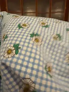 Snapshot of geilerboy2628 chatting on February 2026 11:20:02 PM geilerboy2628 online show from February 2026 11:20:02 PM