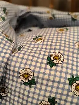 Snapshot of geilerboy2628 chatting on March 2026 02:07:02 AM geilerboy2628 online show from March 2026 02:07:02 AM