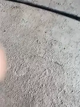 Bengali BULL1 online show from October 2025 05:05:01 AM