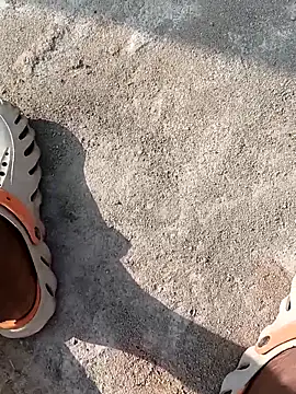 Bengali BULL1 online show from November 2025 04:00:02 AM