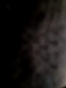 Snapshot of mogli444 chatting on December 2024 01:03:01 PM mogli444 online show from December 2024 01:03:01 PM