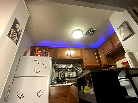 odbodu online show from October 2025 10:13:01 AM