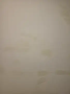 Snapshot of Adivaaa chatting on February 2026 10:54:01 AM Adivaaa online show from February 2026 10:54:01 AM