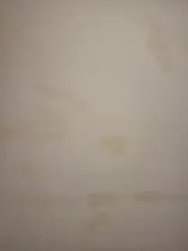 Snapshot of Adivaaa chatting on March 2026 11:27:01 AM Adivaaa online show from March 2026 11:27:01 AM