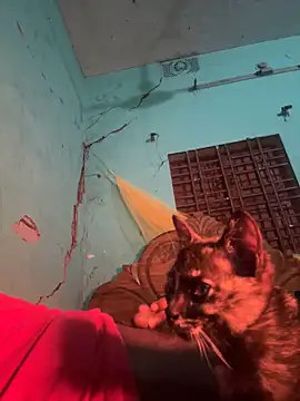 dadataher online show from January 2025 06:28:01 PM