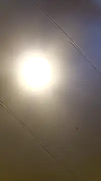 PinkTheHawk online show from January 2025 10:07:02 PM