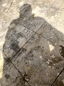 Snapshot of curcuro chatting on March 2026 10:50:02 AM curcuro online show from March 2026 10:50:02 AM