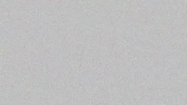 Snapshot of GiftedGirl4u chatting on January 2025 11:33:01 PM GiftedGirl4u online show from January 2025 11:33:01 PM