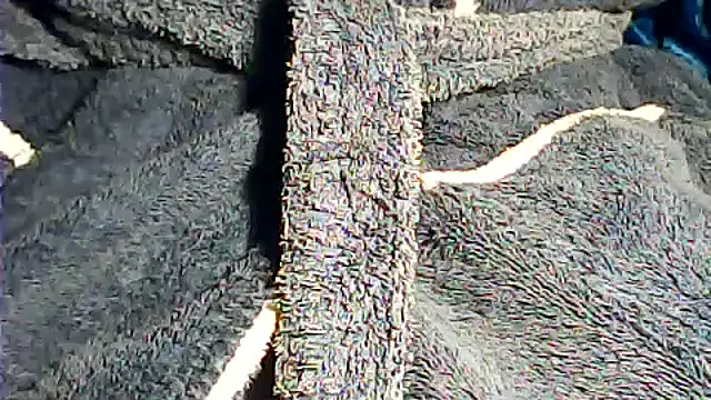 kalinixta online show from October 2025 07:32:02 PM