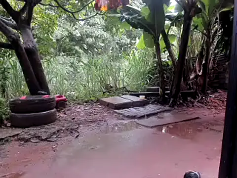 Snapshot of venusandzeus@xh chatting on October 2025 01:01:01 PM venusandzeusxh online show from October 2025 01:01:01 PM