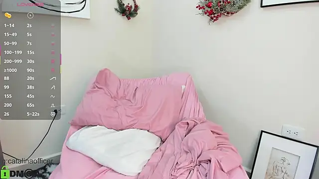 catalinaofficer online show from November 2025 11:14:01 AM