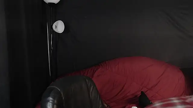 Snapshot of Metalstud chatting on January 2025 10:07:02 PM Metalstud online show from January 2025 10:07:02 PM