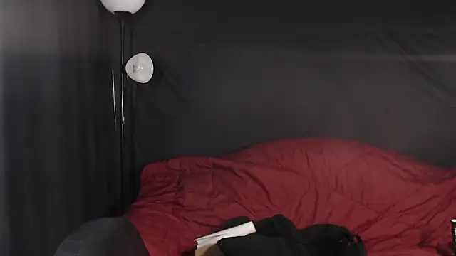 Snapshot of Metalstud chatting on January 2025 10:41:01 PM Metalstud online show from January 2025 10:41:01 PM