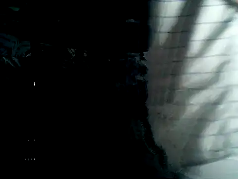 Latinjim29 online show from February 2026 01:37:02 AM