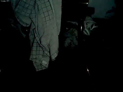 Latinjim29 online show from February 2026 03:48:01 AM