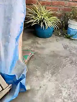 indianSmartboy online show from December 2024 11:11:02 AM