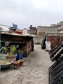 indianSmartboy online show from March 2025 07:15:01 AM