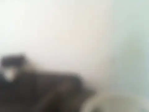 Snapshot of ConradinhoBR50 chatting on April 2026 02:27:02 PM ConradinhoBR50 online show from April 2026 02:27:02 PM