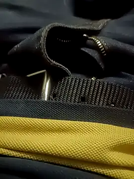 Javedmax online show from November 2025 12:48:02 PM