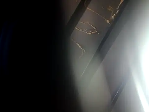 bobbybullit online show from October 2025 07:32:01 AM