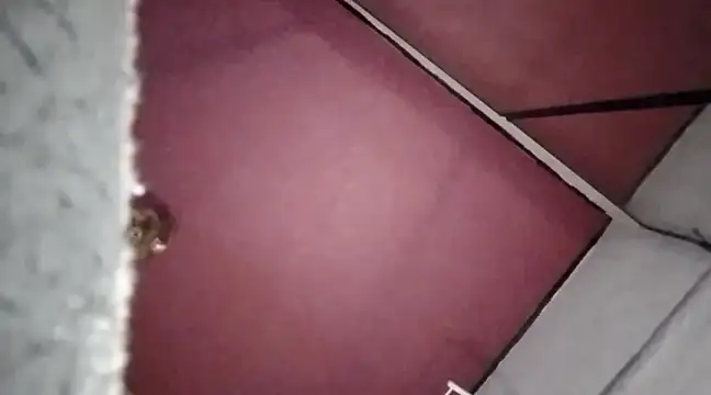 Snapshot of Mariusz38x chatting on December 2024 10:34:02 PM Mariusz38x online show from December 2024 10:34:02 PM