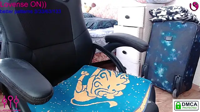 sweet cute cat online show from February 2025 08:38:01 AM