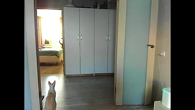 Snapshot of sweeetgirls2021 chatting on December 2024 02:04:02 AM sweeetgirls2021 online show from December 2024 02:04:02 AM