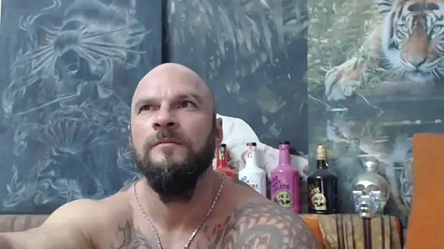 viking 30 online show from September 2025 06:41:02 PM