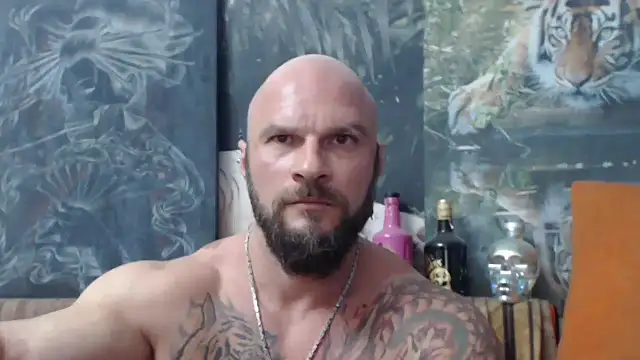 viking 30 online show from September 2025 06:51:02 PM