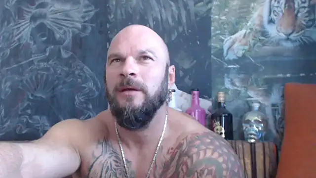 viking 30 online show from September 2025 06:59:01 AM