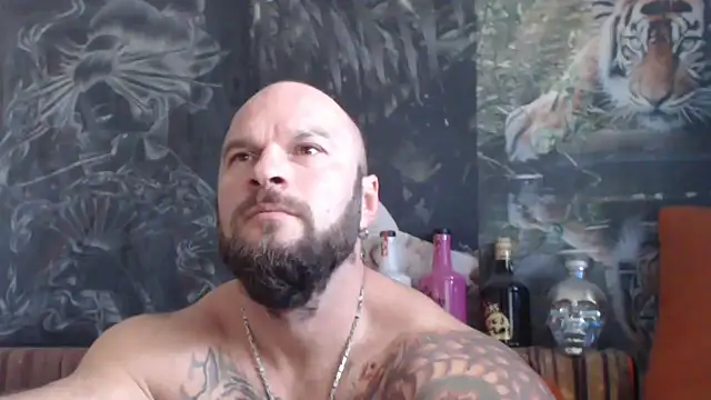 viking 30 online show from October 2025 05:52:01 AM