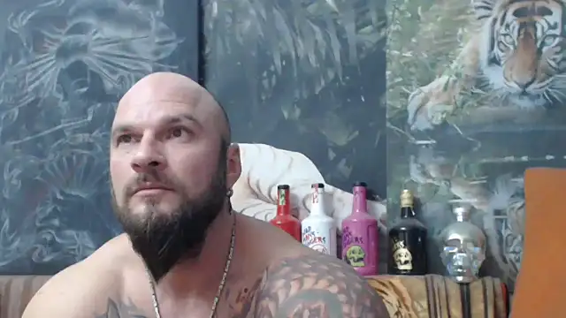 viking 30 online show from November 2025 06:51:02 PM