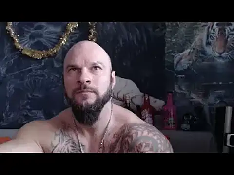 viking 30 online show from February 2026 07:23:01 AM