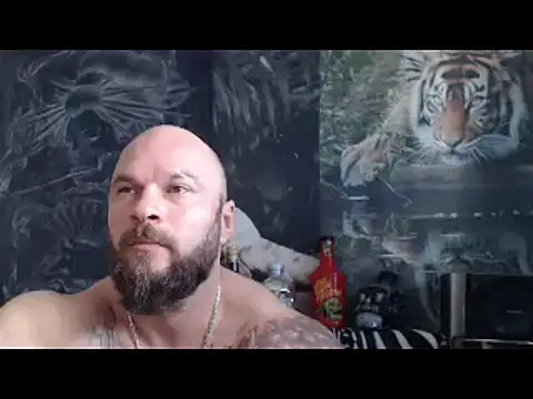 viking 30 online show from April 2026 06:16:02 AM