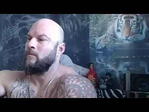 viking 30 online show from April 2026 06:58:02 AM