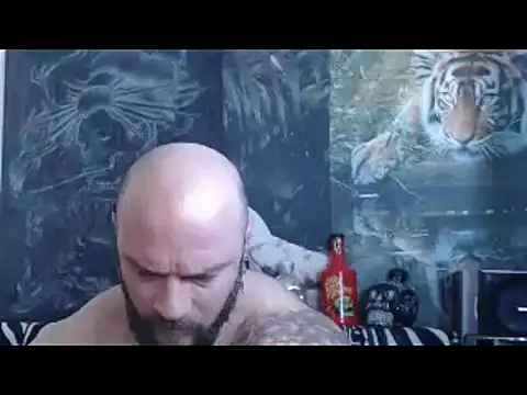 viking 30 online show from April 2026 06:33:02 AM