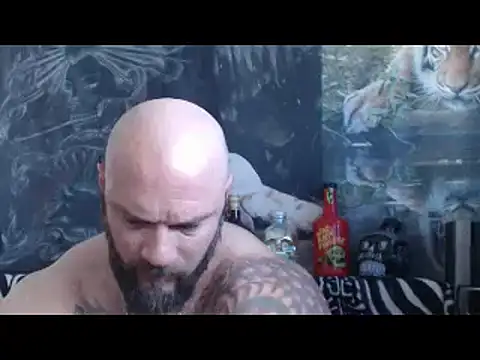 viking 30 online show from April 2026 06:29:02 AM