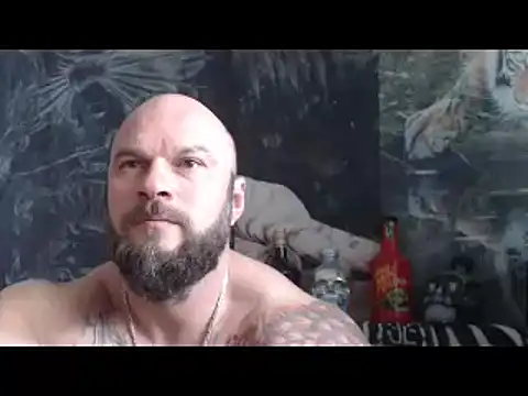 viking 30 online show from May 2026 10:42:02 AM