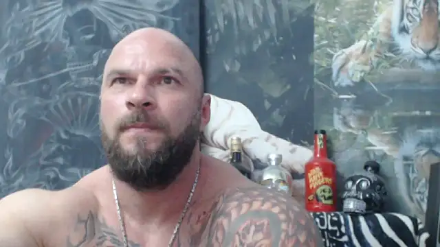 viking 30 online show from June 2026 05:50:02 PM