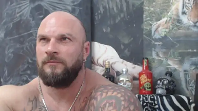 viking 30 online show from June 2026 05:16:02 PM