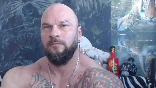 viking 30 online show from June 2026 06:14:02 AM
