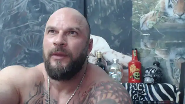 viking 30 online show from June 2026 06:19:02 PM
