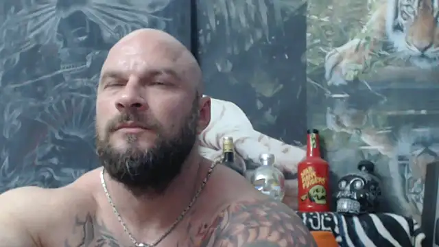 viking 30 online show from June 2026 05:55:02 PM